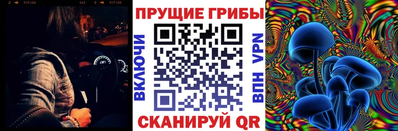 Галлюциногенные грибы Psilocybe  Камызяк 